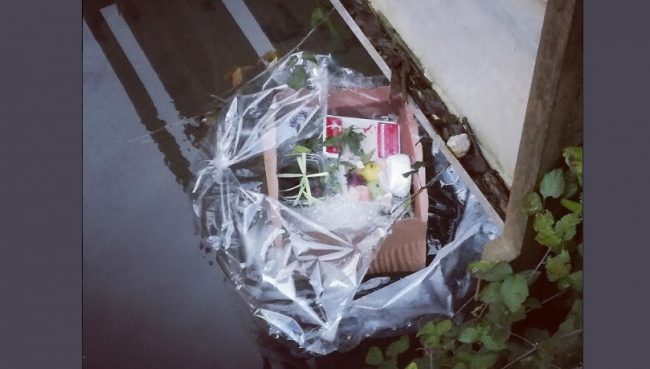 Cesto di Natale finisce nella roggia Regalo non gradito e tanta inciviltà