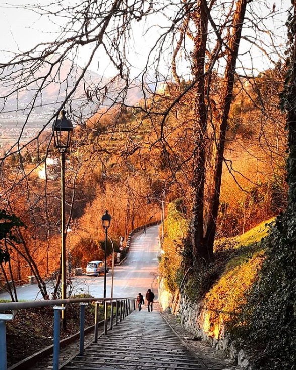 Angoli di pace in città (scaletta di San Sebastiano) – Rose of Winter