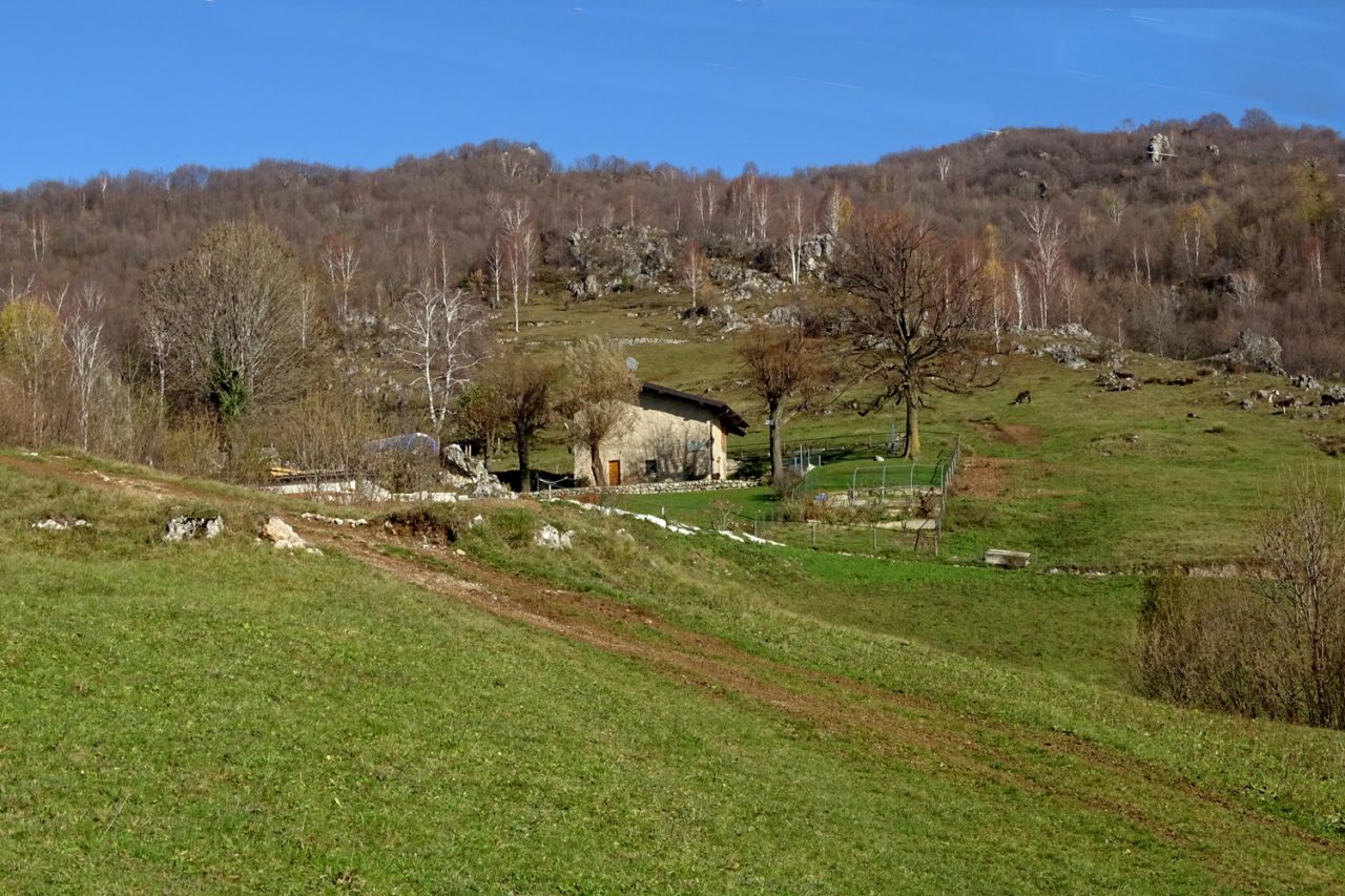 Oltre il santuario dello Zuccarello riscoprendo la Val Formica