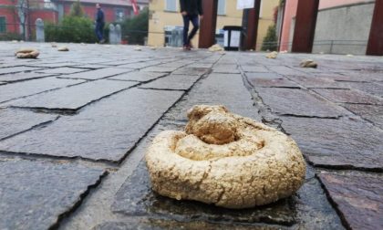 La leggenda del tizio che defeca per le strade del centro di Alzano