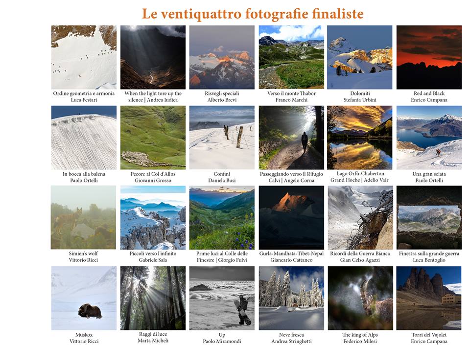 Foto Finaliste 2019