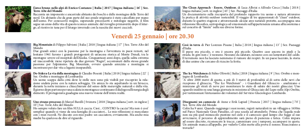 Programma film 2