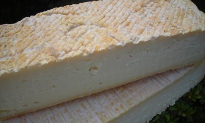 Lo stracchino diventato una stella