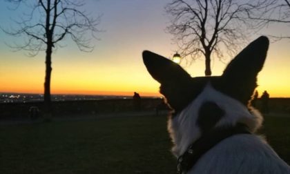 Occhi al tramonto - Alessia Omizzolo
