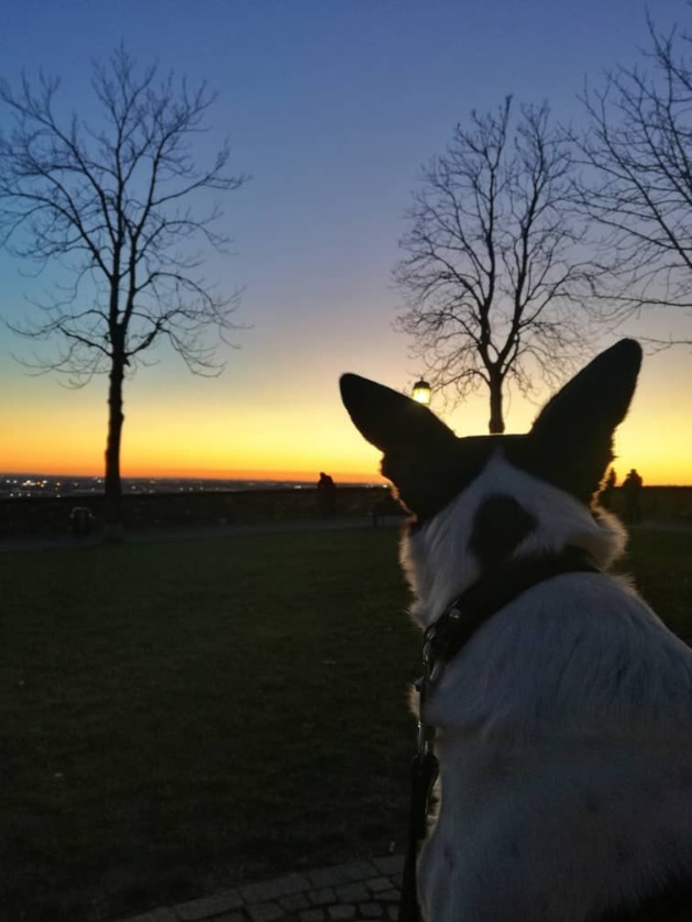 Occhi al tramonto – Alessia Omizzolo