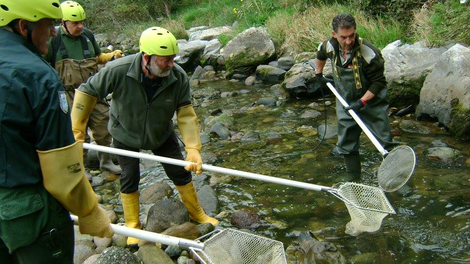 Stiamo uccidendo il Serio