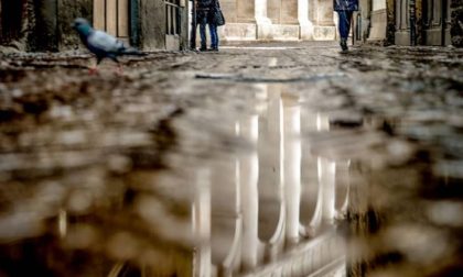 Questione di riflessi - Roberto Riva