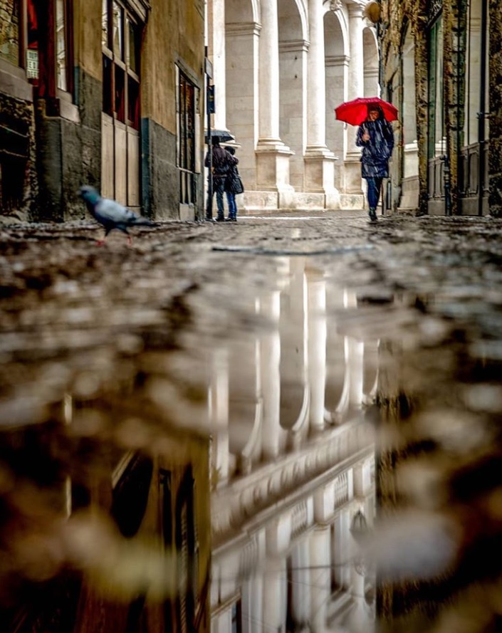 Questione di riflessi – Roberto Riva