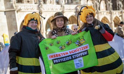 In Baviera vogliono bene alle api Le difendono con un referendum