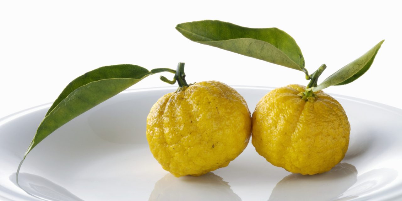 Mai sentito parlare dello yuzu?
