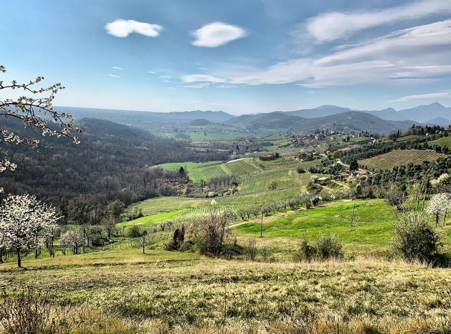 Le colline di Bergamo – Francesca Quadri