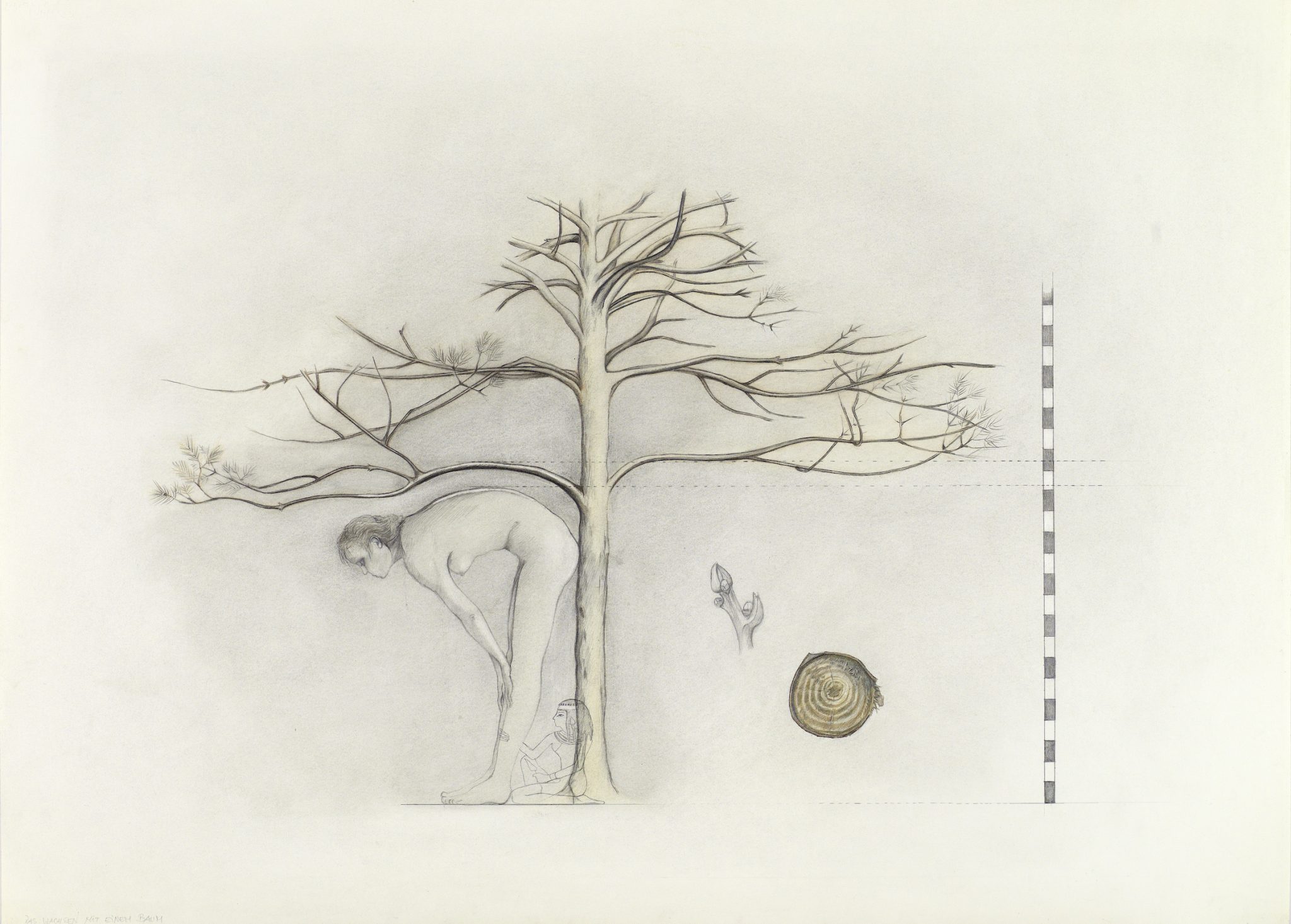 5. BJ_Das Wachsen mit einem Baum, 1977