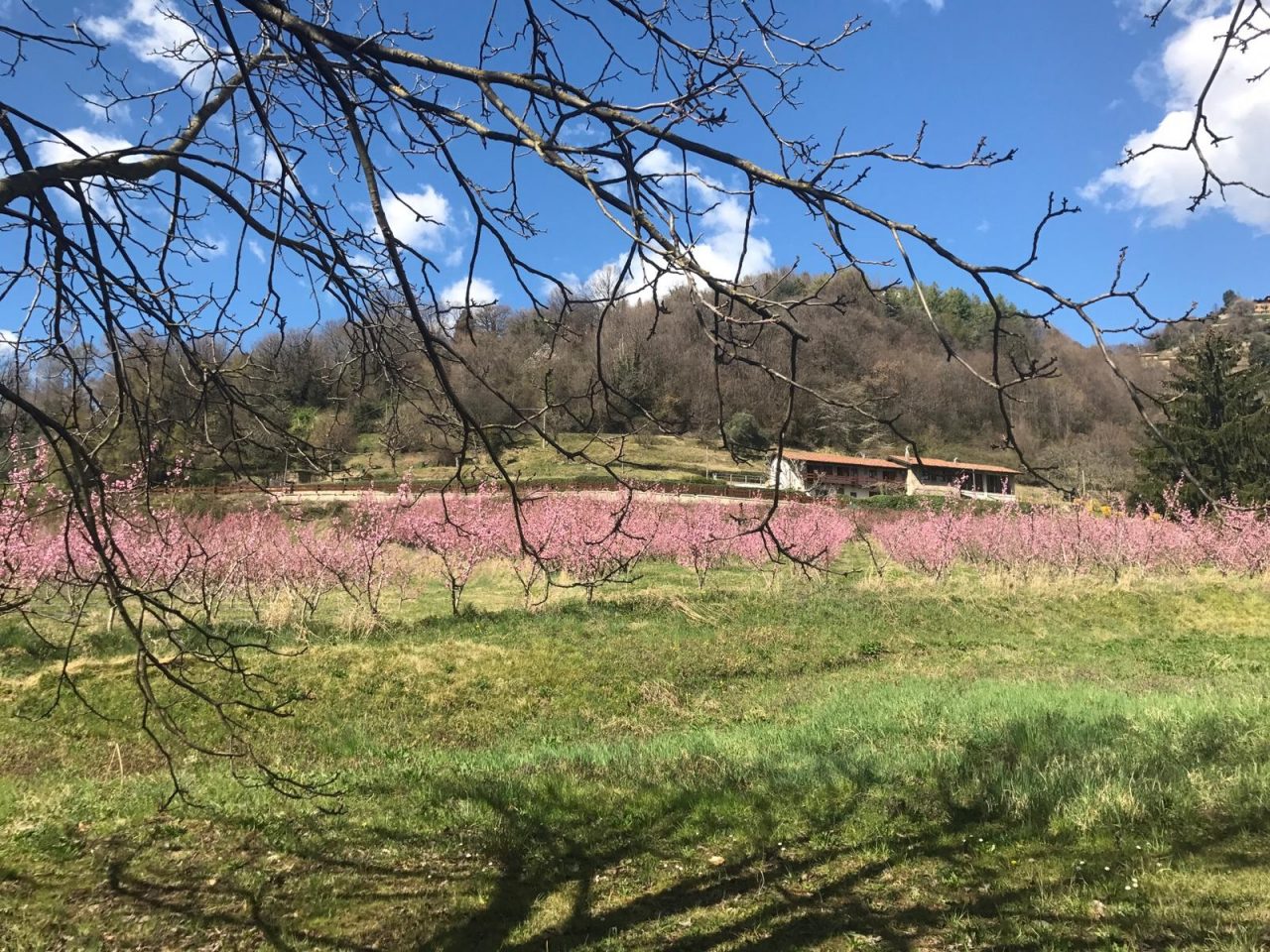 10 frasi bergamasche in primavera