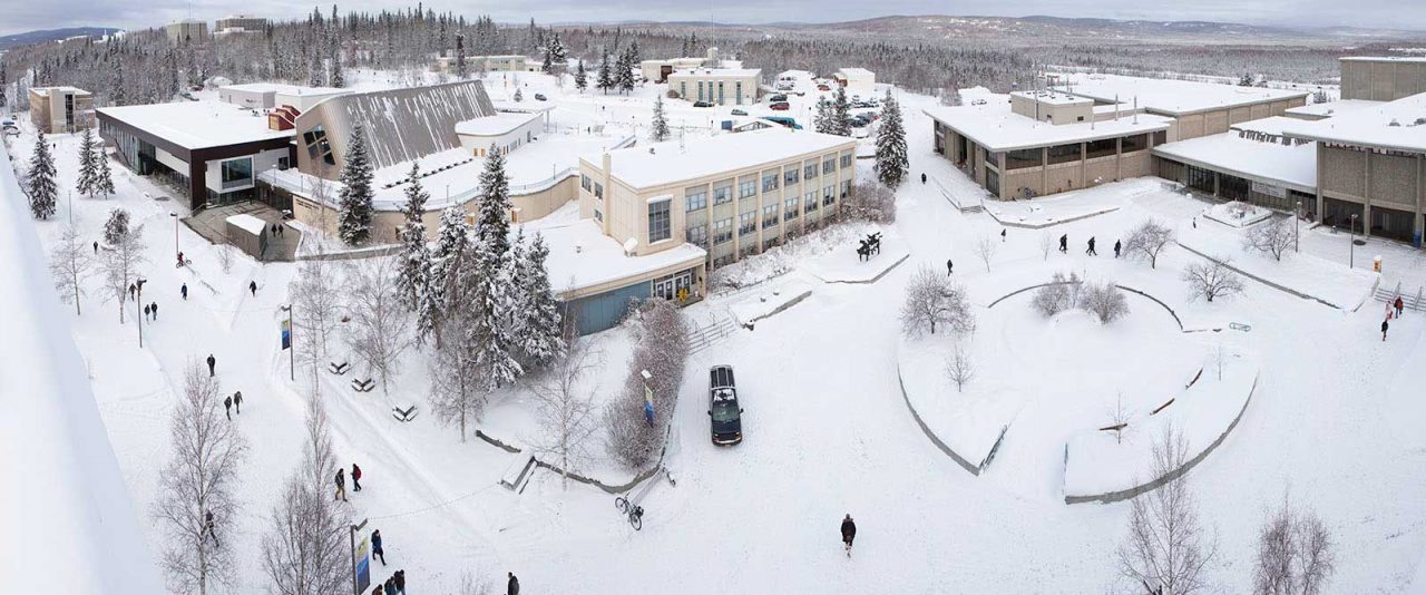 L’ingegnere ecologista di Mozzo (prima che fosse di moda esserlo)