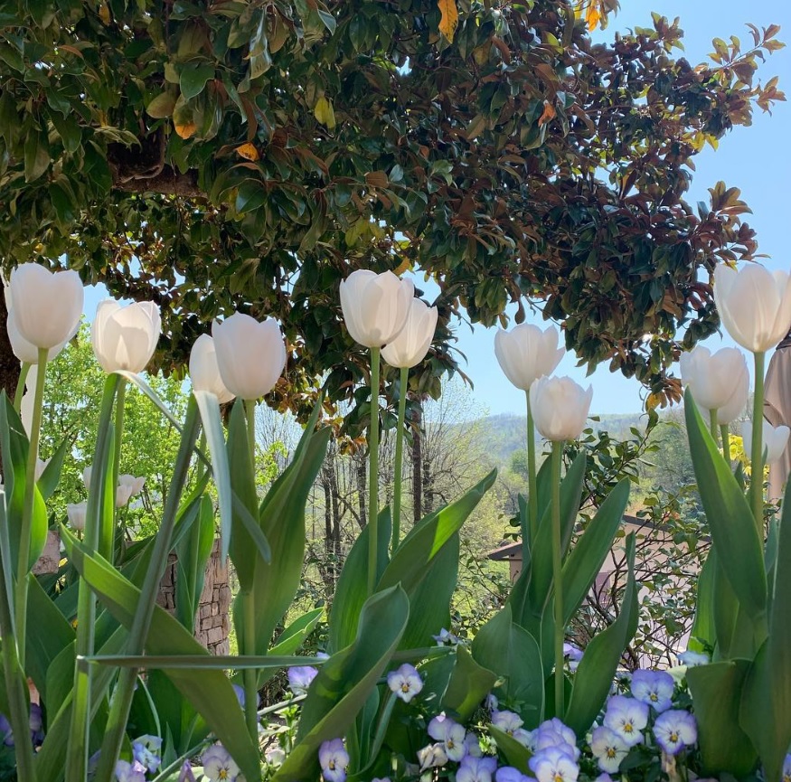 Più primavera di così… – Angela