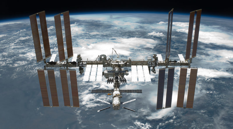 Cinque notizie che non lo erano Non esiste alcun insetto spaziale