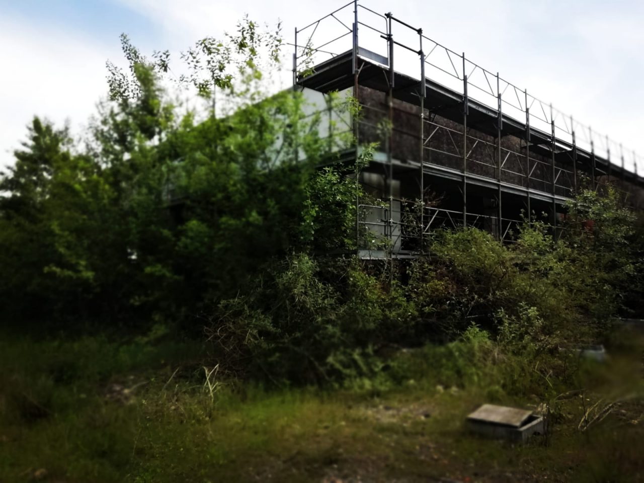 Alleluja! Dopo 7 anni a Treviolo riparte finalmente il Polo scolastico