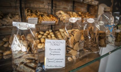 Il Panificio F.lli Marchesi, dietro cui c’è oggi il manager del buon pane