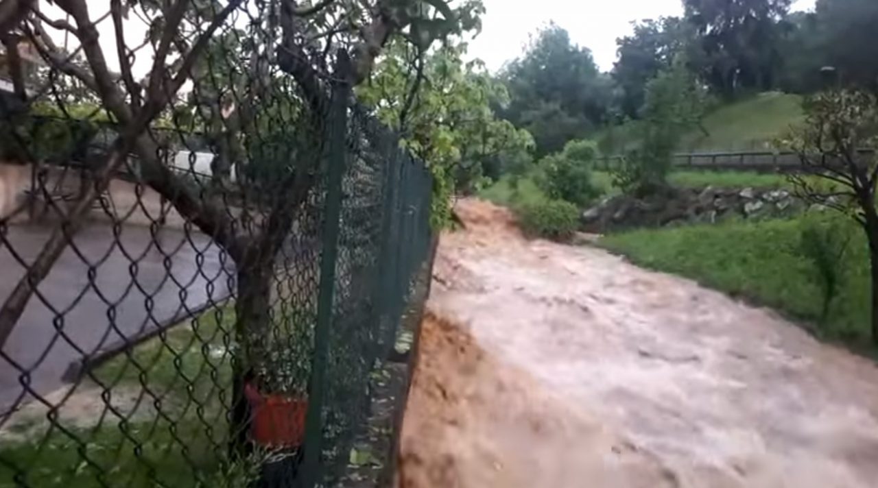 Notizie su Bergamo e provincia (20-25 maggio 2019)