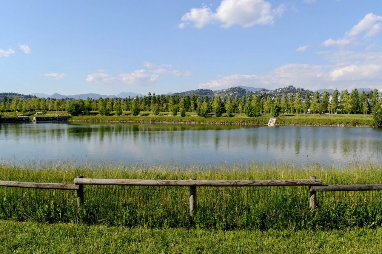 Al Parco della Trucca morti anche quindici germani: forse l’acqua la causa