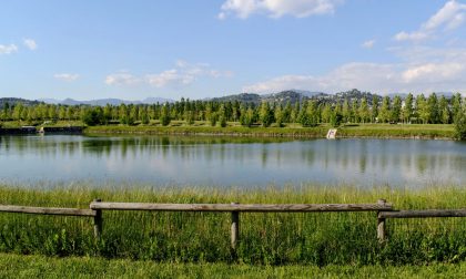 Al Parco della Trucca morti anche quindici germani: forse l'acqua la causa