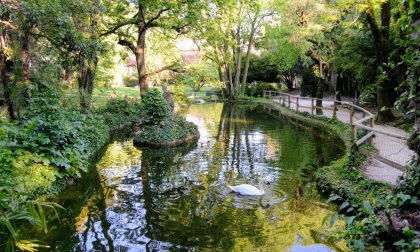 Riapre il Parco Olmi alla Malpensata (e tutti resteranno aperti dalle 8 fino alle 20)