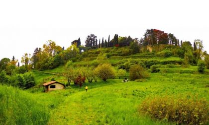 Il giardino di Palazzo Moroni - Chiara Marchesi