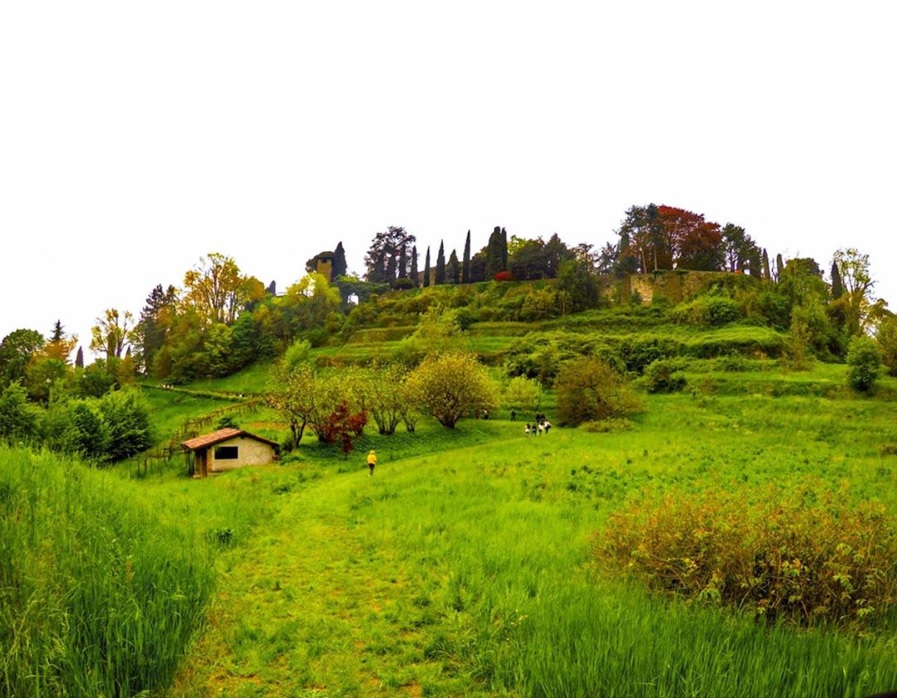 Il giardino di Palazzo Moroni – Chiara Marchesi