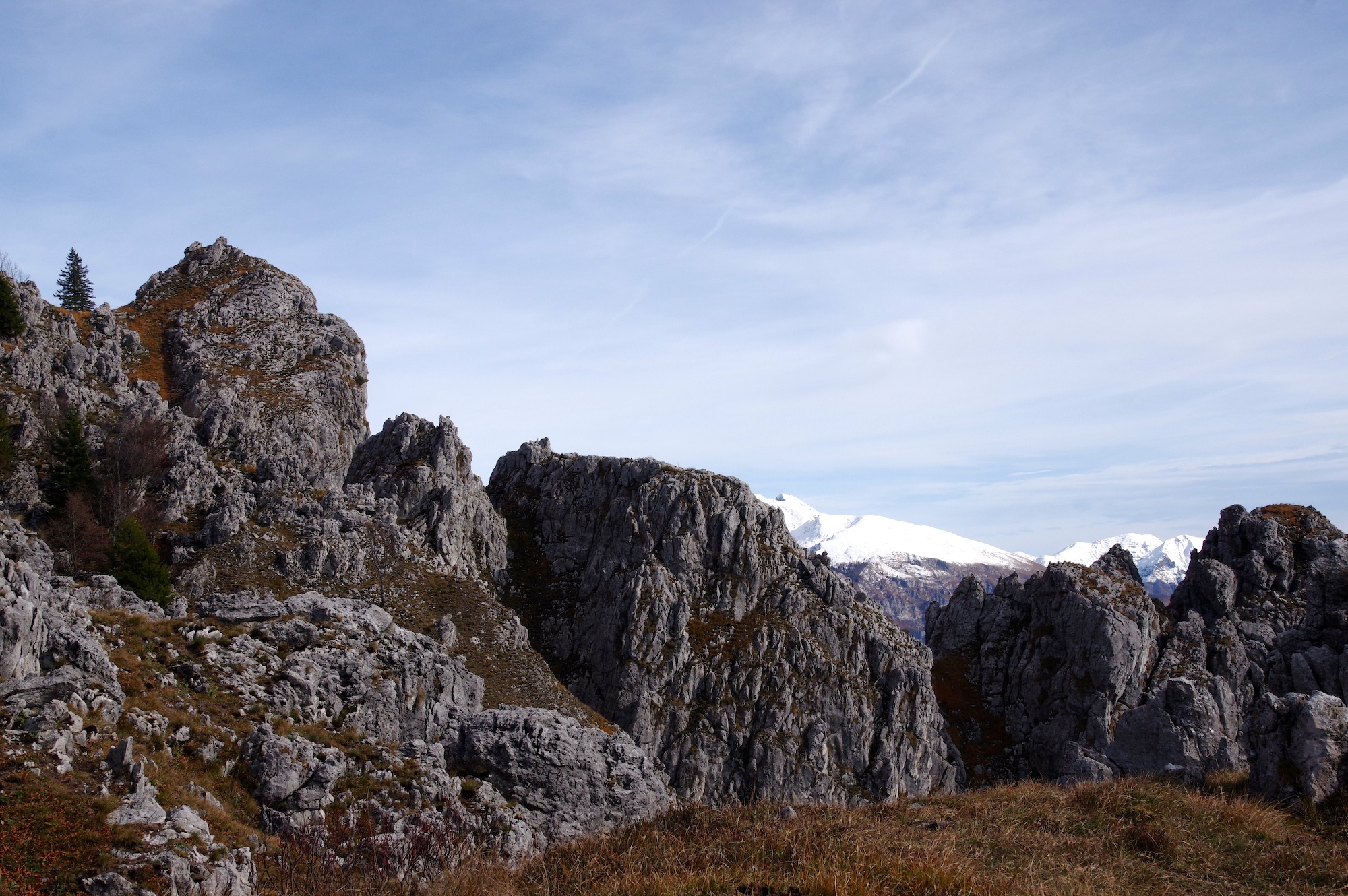 Pascoli sul Monte Cancervo