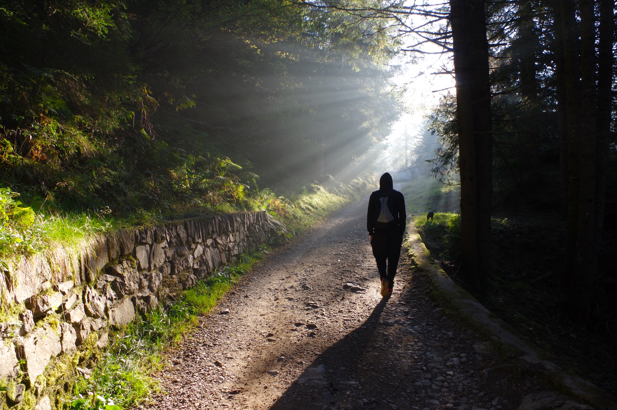 Passeggiando in Val Brembana