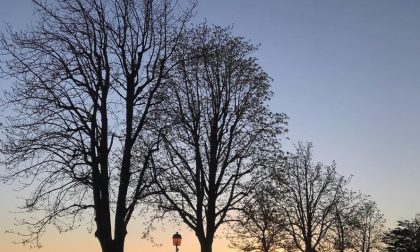 Senza nuvole, al tramonto - Federico Risi