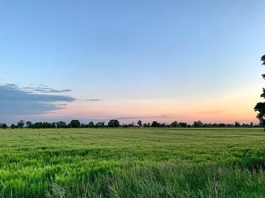 Tramonto a Malpaga – Francesca Quadri