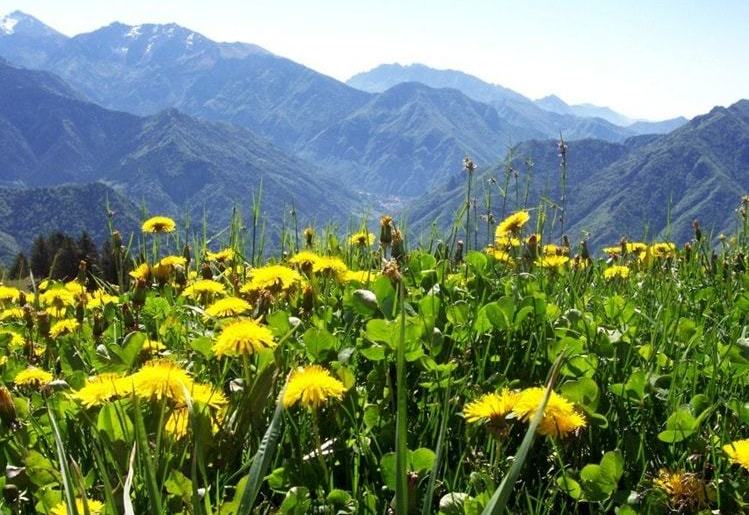 Il weekend nelle valli orobiche #108 Tutti gli eventi da non perdere