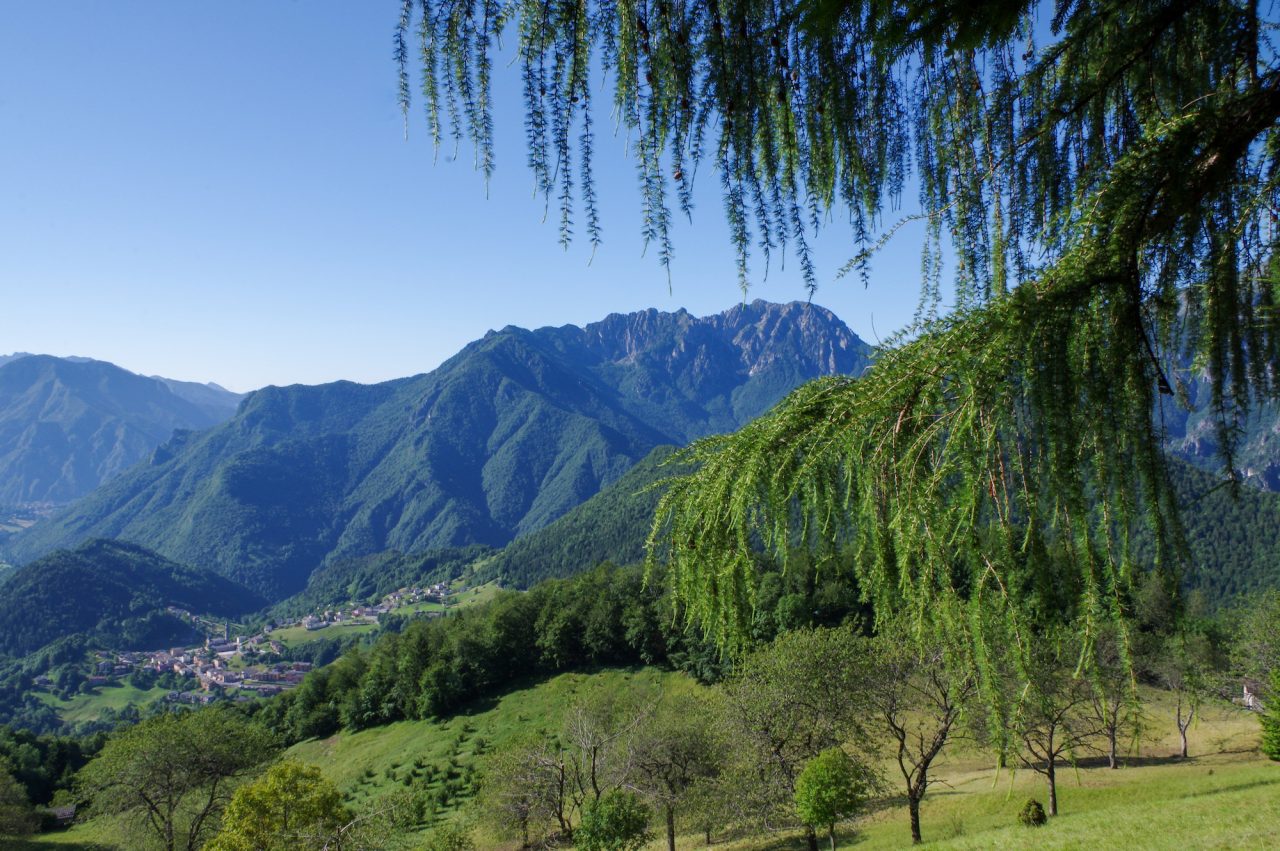 La fresca meraviglia del Pizzo di Cusio