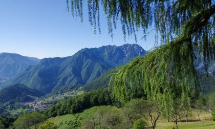 La fresca meraviglia del Pizzo di Cusio