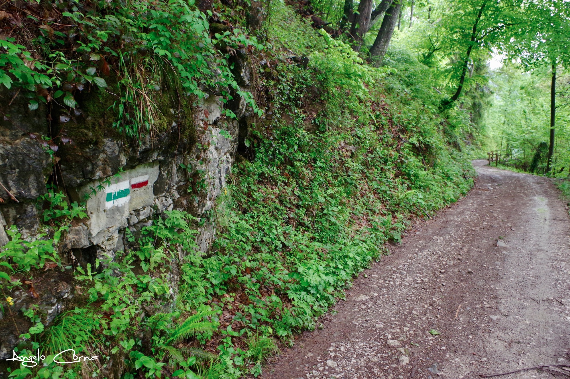 18 - Tappa 2 da Villa d'Ogna a Novazza - Segnavia sul percorso