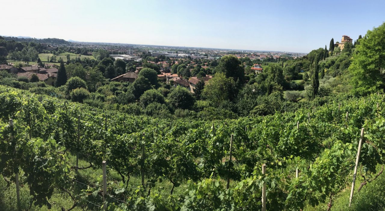 Mozzo capofila di un progetto per valorizzare territorio e prodotti