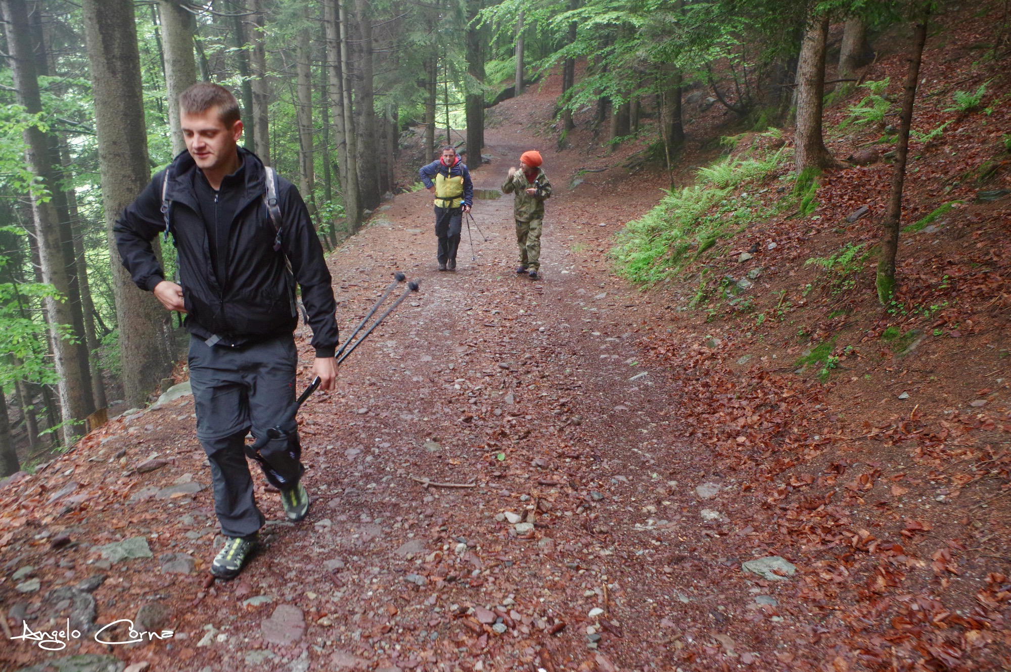 38 - Tappa 4 da Gandellino a Spiazzi di Gromo - Attraversando la Val Sedornia