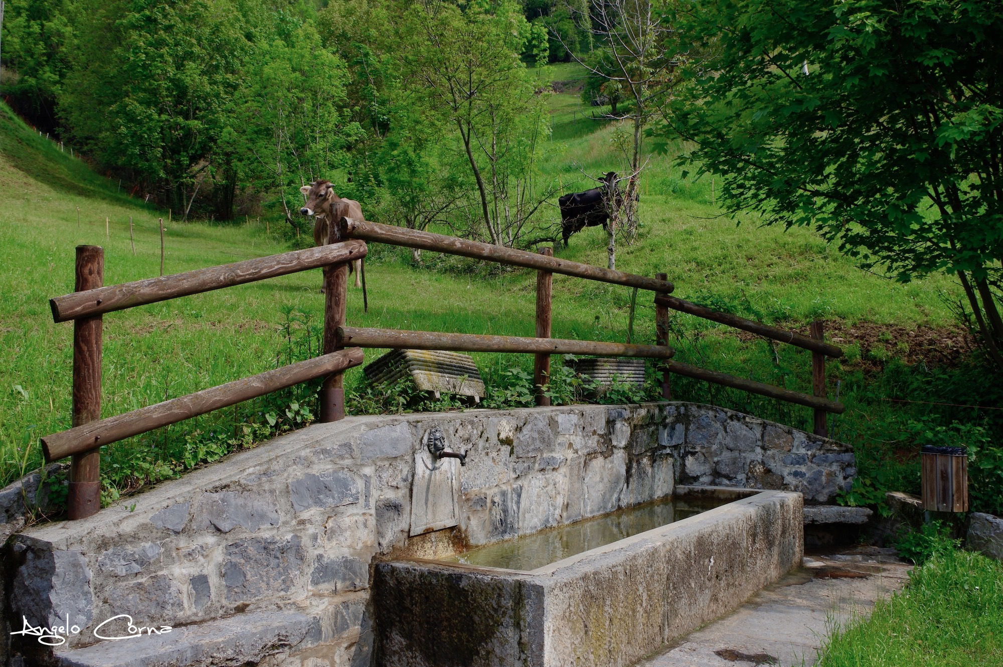 5 - Tappa 1 da Gorno a Villa D'Ogna