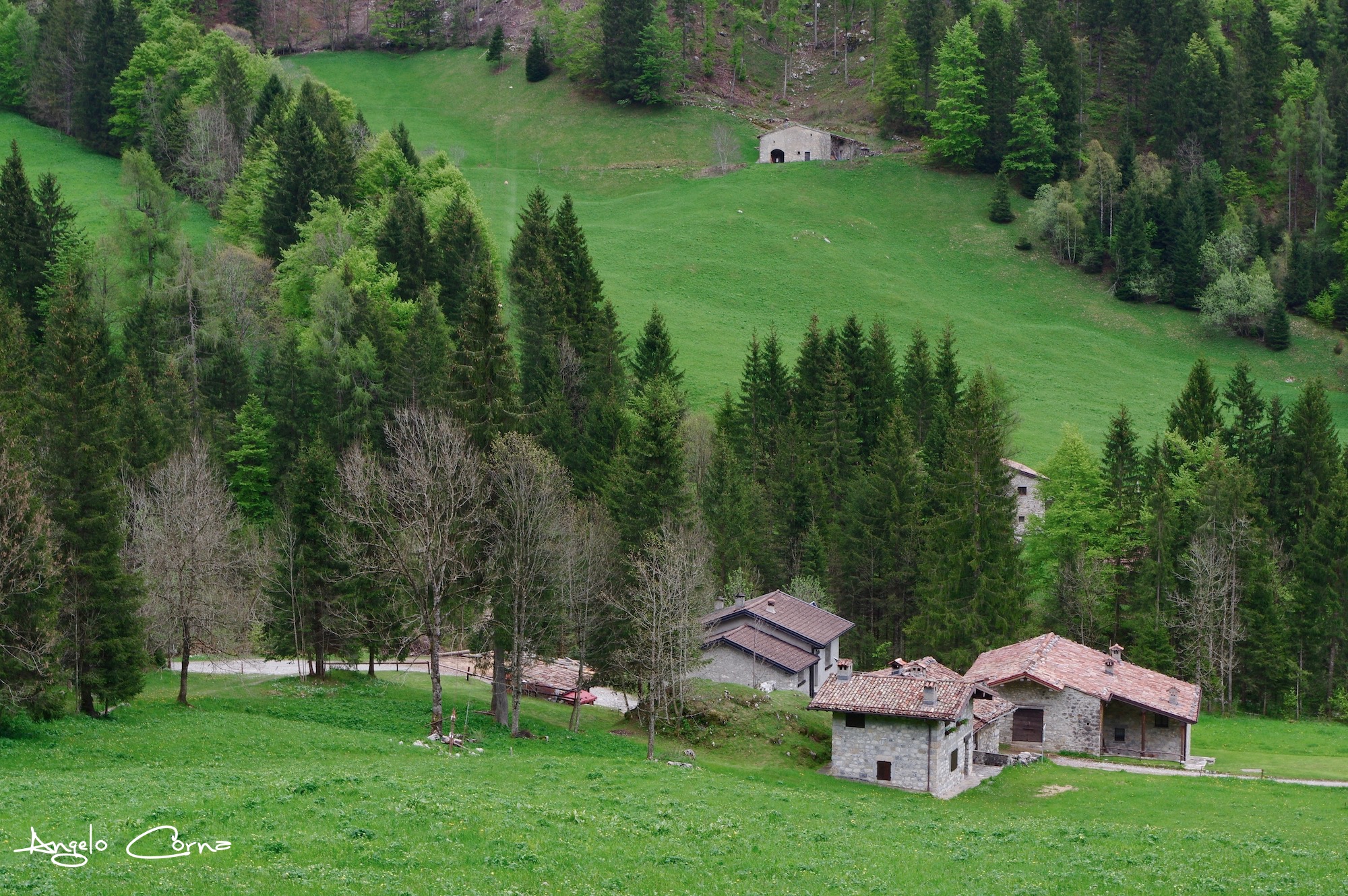 59 - Tappa 5 da Spiazzi di Gromo a Valzurio - Le Baite di Moschel