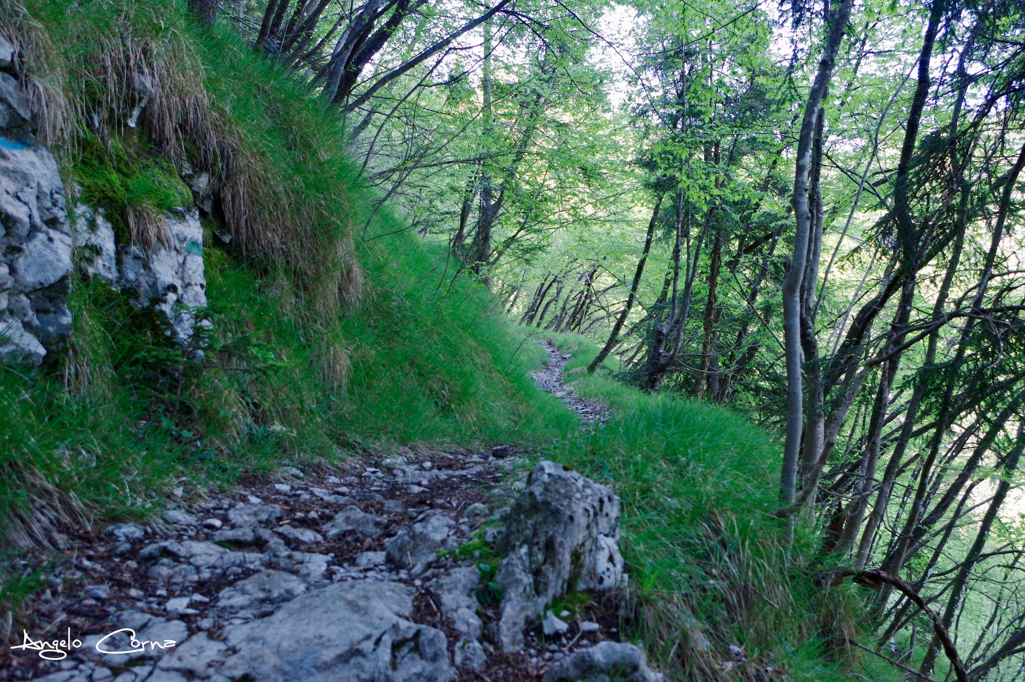 66 - Tappa 6 da Valzurio a Fino del Monte