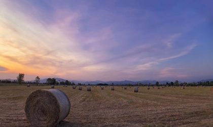 Cielo e tramonti su tela a Verdellino - Sofia Invernici