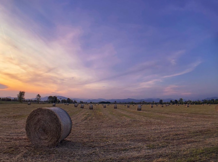 Cielo e tramonti su tela a Verdellino – Sofia Invernici