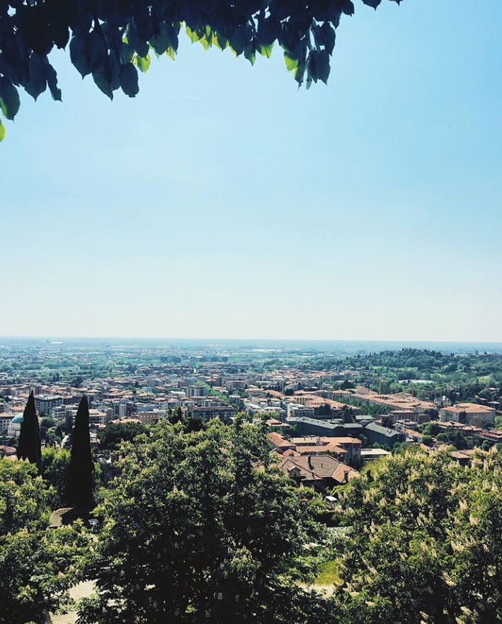 Sotto le fresche frasche – Elisa Van Pelsie