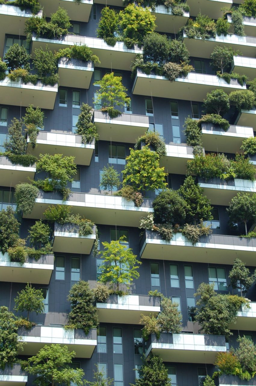 Casa nuova, abitudini nuove Consigli per uno stile ecofriendly