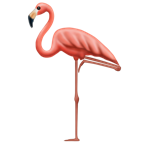 flamingo-emojipedia