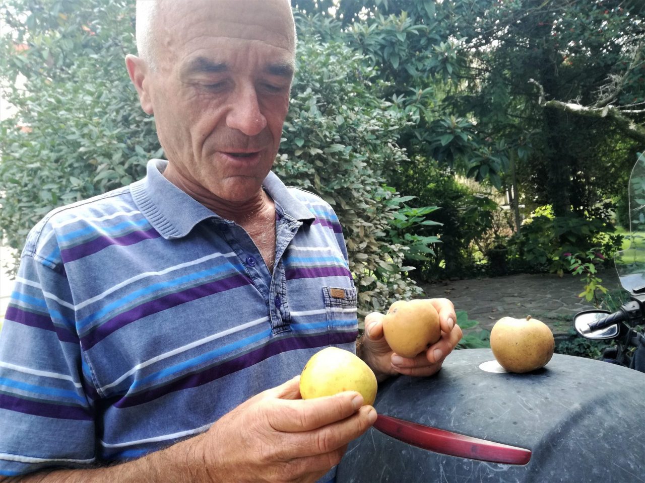 La amara lettera di papà Moioli «Qui è tutto uno scaricabarile»