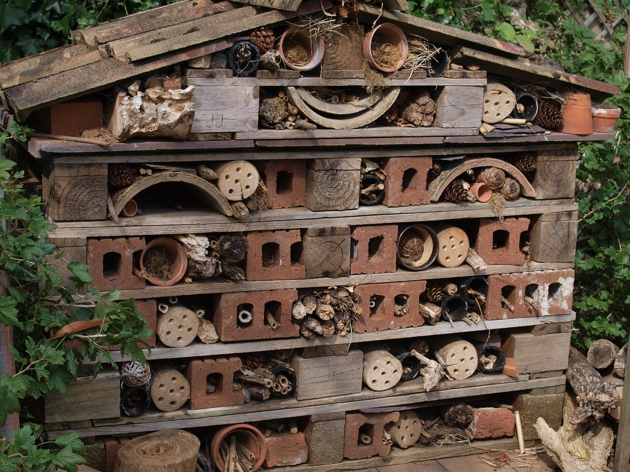 38836386_bug-hotel-2710790_1280