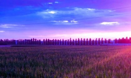 Campi, cipressi e un fascio di luce - Andrea Grigis