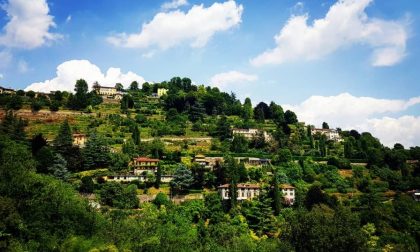I Colli di Città Alta - Davide Little Bastard